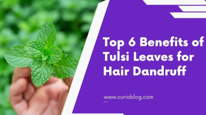 Benefits of Tulsi Leaves for Hair Dandruff